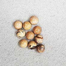 8MM ROUND CABOCHON PICTURE JASPER(10PCS/BAG)